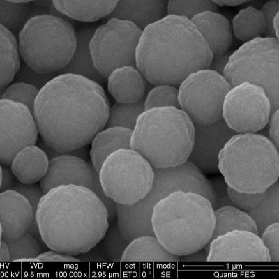 China grânulos magnéticos de 1μm Streptavidin para a pilha que classifica o magnésio/mL da captação 10 da ponta de prova 1 mL à venda