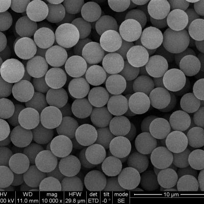 China 2.8μm Streptavidin encapsulou grânulos magnéticos para a pilha que classifica 10 magnésio/mL 10 mL à venda