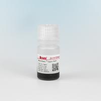 China Agarose DEAE magnetisches Perlen-Protein-Reinigung 30-150 μm 10% Volumen-Verhältnis 5 ml zu verkaufen