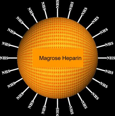 China Μm Agarose-Heparin-Protein-Reinigung Magbeads 30-150, 10% Volumen-Verhältnis, 1000 ml zu verkaufen