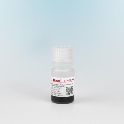 China Agrose-Protein ein magnetisches Volumen-Verhältnis der Perlen-Protein-Reinigungs-10% 5 ml zu verkaufen