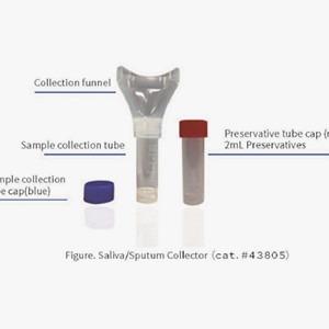 中国 唾液Sample Collection Kits For Collecting Saliva Samples 10mL Collection Tube 販売のため