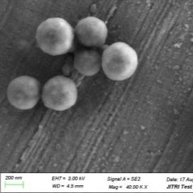 China het Kiezelzuur Magnetische Parels van 50 ml 500nm voor DNA-Extractie in Diverse Buffersystemen Te koop