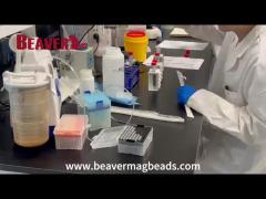 BEAVER biomedical is a research and develop manufacturer in nano-biomaterials surface technology in 