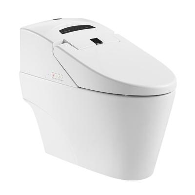 China Automatic Operation Family Self Clean Bidet Smart Toilet ZJS-06 for sale