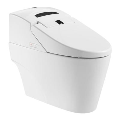 China Automatic Operation Wholesale Price Integrated Smart Toilet With Electronic Bidet ZJS-06 for sale