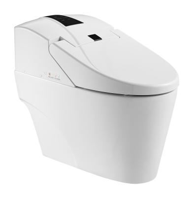 China Automatic Operation Hygienic Hot Water Cleaning WC Electronic Bidet Toilet ZJS-05 for sale