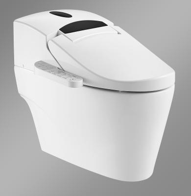 China Auto Operation Automatic Open-close Sensor Integrated Spray Smart Toilet ZJS-02B for sale