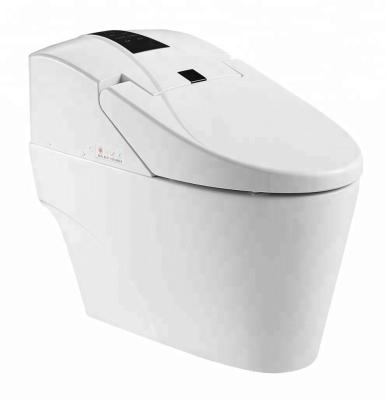 China Hot&cold Family Automatic Operation Remote Control Water Washing Electronic Toilet ZJS-05 for sale