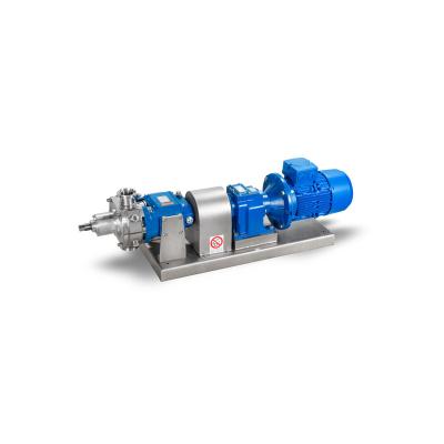 China Industrial Boilers Sturdy Rotary Lobe Pump In Hygienic Design Dry-Installed Pump for sale