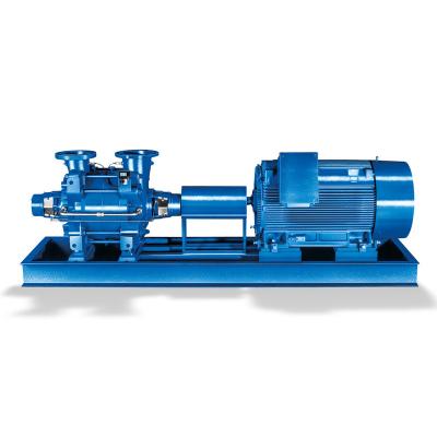 China Industrial Boilers long-coupled or close-coupled Centrifugal Pump Multistage Horizontal or Vertical Ring-section Pump for sale