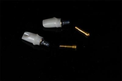 China Dental Surgical Cement Retained Implant Abutment Titanium OEM for sale