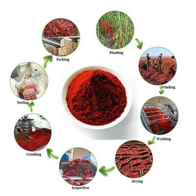 China Wholesale Best Price Dry Chili Crushed Red Pepper Flakes Dry Hot for sale