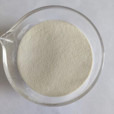 Chine Habio Beta Glucanase Powder / Liquid For Poultry Egg Layer Piglet Ruminant à vendre