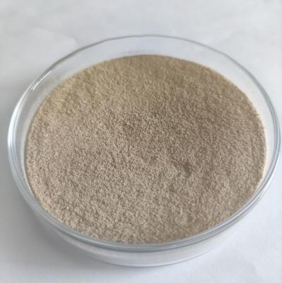 Chine Enzyme polygalacturonase pectinase à base de champignons à vendre