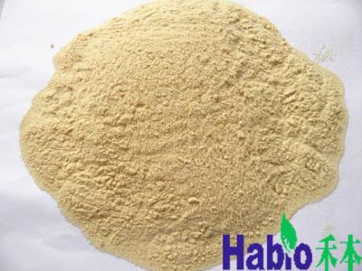 Chine Poudre jaune d'enzymes de cellulase de Habio 10000U Brown pour la fabrication de papier à vendre