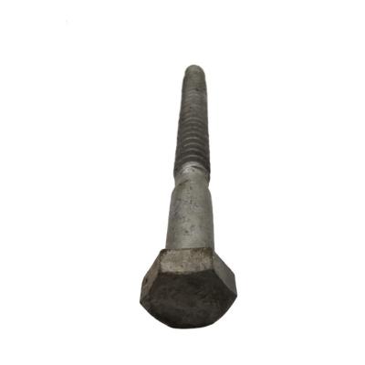 China Stainless Steel Factory Price DIN571 HDG Wood Screws for sale