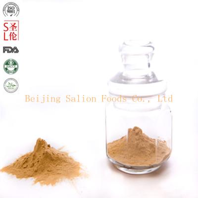 China Widely used in fast food soy sauce powder for sale