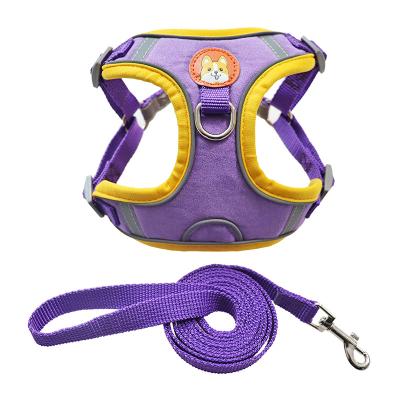 China 2021 Custom Cotton Training Warm High Quality Adjustable Nylon Personalized Printed Soft Reflective Dog Harness And Leash for sale