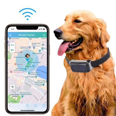 China Anti-lost Dogs Cats Leather Collar Tracking Device Mini Smart Dog Tracker Locator Finder Gps Waterproof Pet Collar Gps å  ´ å  š æ   for sale