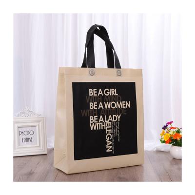 China Biodegradable Shopping Bag Supermarket PP Non Woven Shopping Bag With Logo for sale