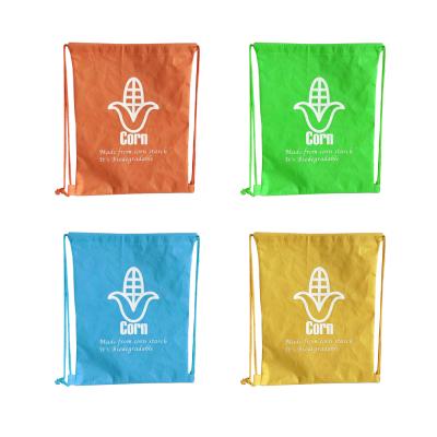 China Biodegradable Twine Net Fruit Vegetable PLA Bag PLA Corn Fiber Filter Bag PLA Drawstring Bag for sale