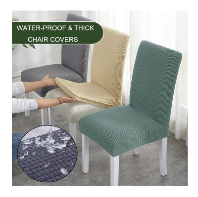 China Single Waterproof Soft Lounge Dining Chair Covers Spandex Stretch Chair Covers for sale