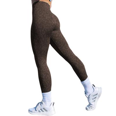 China Four Way Print Seamless Workout Leopard Ladies Stretch Tight Fitness Leggings Women Running Sports Yoga Pants for sale