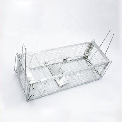 China Cage Trap Used Non Applicable Easy Set Non-Door Animal Food For Squirrels And Small Rabbits Sale for sale