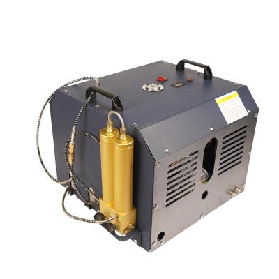 China TUXING 4500psi 300bar 220V Auto Stop Air Compressor Lubricated High Pressure Machinery for sale