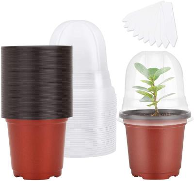 China Modern Strong Seed Starter Pots with Humidity Dome and Low Plant Germination Kit Clone Growing Tray for Microgreens Nursery Pots for sale