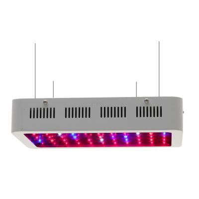 China Seed Starting Agricultural Light 1000w LED 600 Watt Wholesale Hot Selling Amazon Vertical Farm Cheapest LED Grow Lights For Indoor Garden for sale