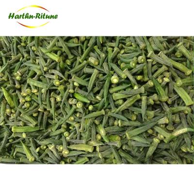 China Healthy Empty Fried Okra Crisp Vegetable Snack Chips From China Nutritious Wholesale for sale