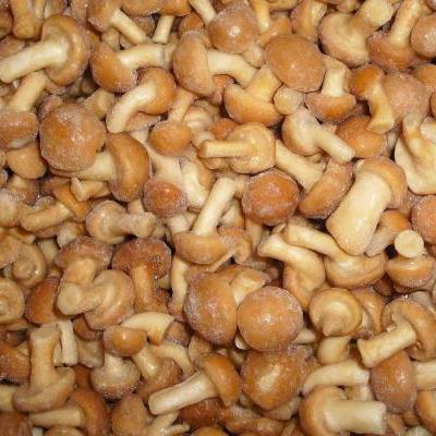 China Good quality frozen mushroom nameko best prices for sale