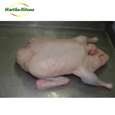 China Trans-fat defensive position and IQF duck breast parts sanitary whole price for sale