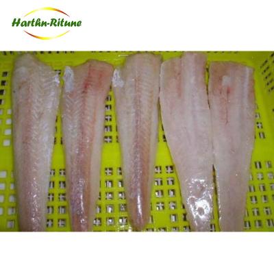 China FROZEN skinon and frozen salted fillets without hake skin for sale