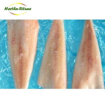 China FROZEN Alaska pollock fish blindfolded good raw material for sizzling food for sale