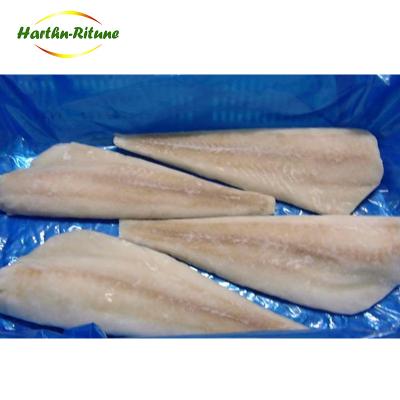 China FROZEN NO Chemicals Treated Alaska Pollock Frozen Fish Fillets lidl price for sale