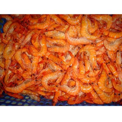 China IQF Vannamei High Quality Frozen White Shrimp Wholesale for sale