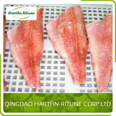 China FROZEN red mullet fillet for sale