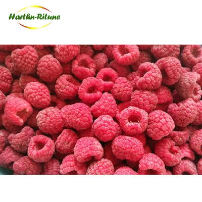 China New Whole Season Culture IQF Raspberry JELLY for sale