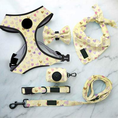 China Amazon Hot Sale Personalized Custom Printing Mesh Dog Harness Leash Set Breathable With Collar Poop Bag Holder Dispenser 6 Pieces for sale