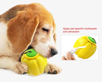 China Durable Pumpkin Ball Halloween Dog Chew Toys Automatic Telescopic Hand Throwing Ball with Rope Interactive Toy for Dog for sale