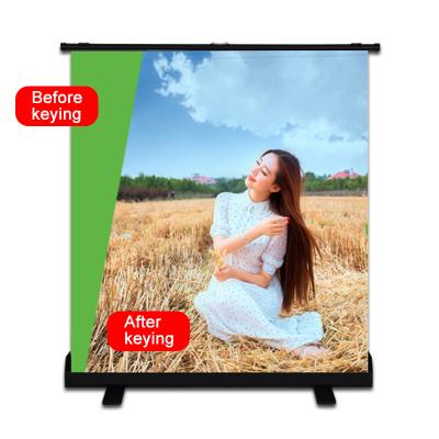 China High Quality Customized Dropship Professional Photography Backdrop Green Screen Video Green Screen For Zoom for sale