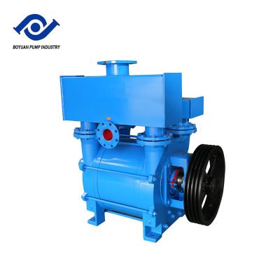 China Other Boyuan Factory Direct Sell  2be Liquid Ring Vacuum Pumps And Compressors Liquid Ring Pump Vaccum for sale