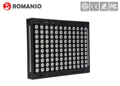 China Stadium LED Sports Lighting 1000W IP67 Floodlights For Volleyball Court for sale