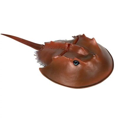 China American Ornaments Toy Chinese Horseshoe Crab Horseshoe Crab Model Toy Models for sale