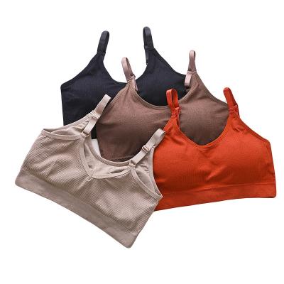 China Lovely Breathable Japanese Bear Chest Bandeau Camisole Back Wrapped Yarn Shockproof Sports Bra Underwear For Women for sale