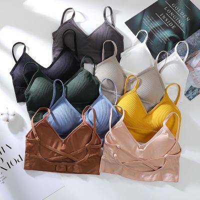 China Beauty Back Camisole Internet Celebrity Sports Underwear Girl Bra Tube Breathable Thin Wireless Thin Wrapped Chest Wrapped Chest for sale