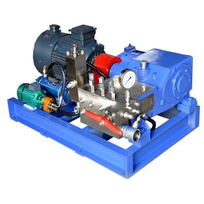 China Plunger Piston Pump High Pressure Water Blaster for sale